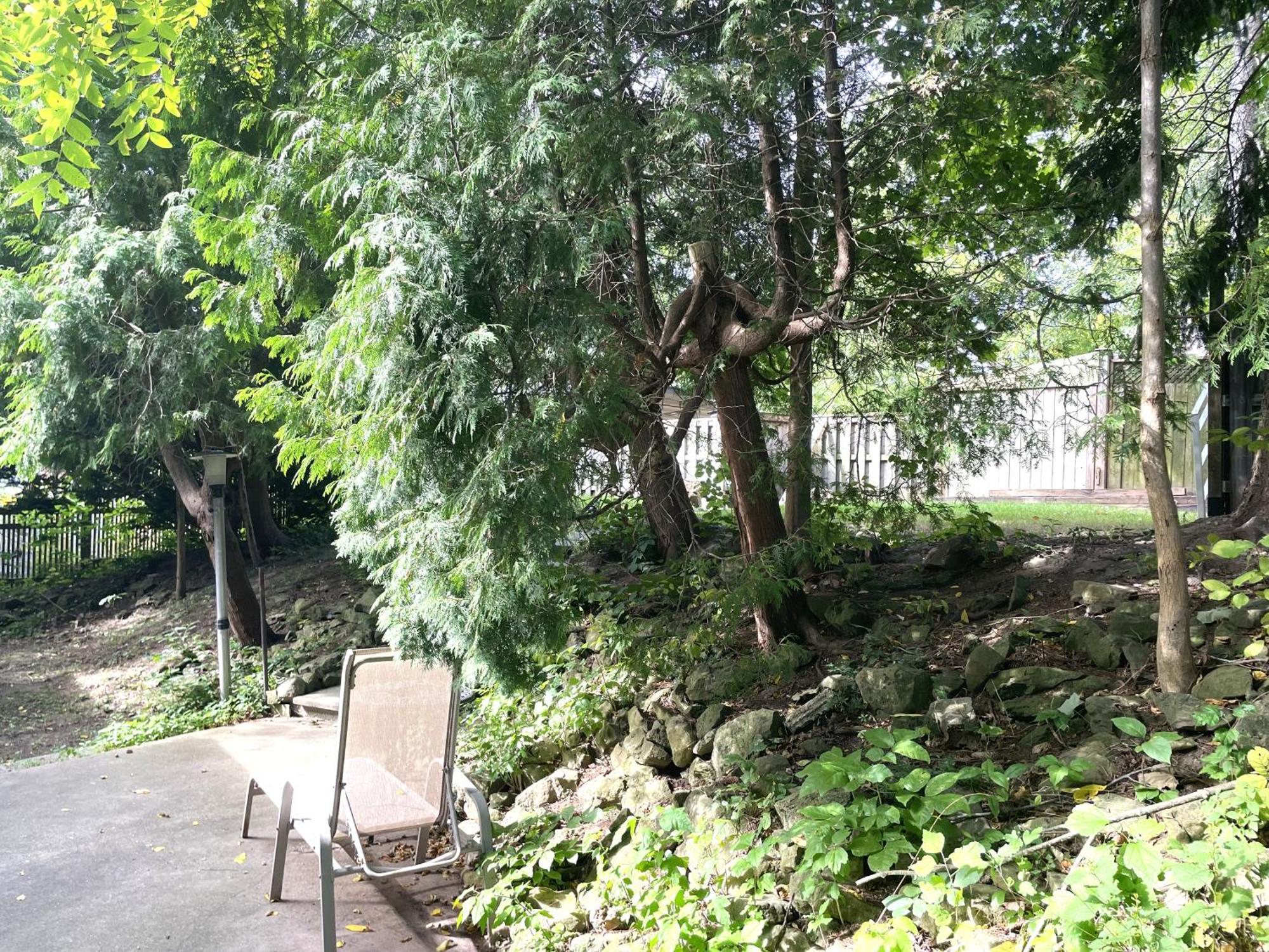 Hébergement de vacances Riverview Closest To Falls, Free Breakfast Delivered Daily *